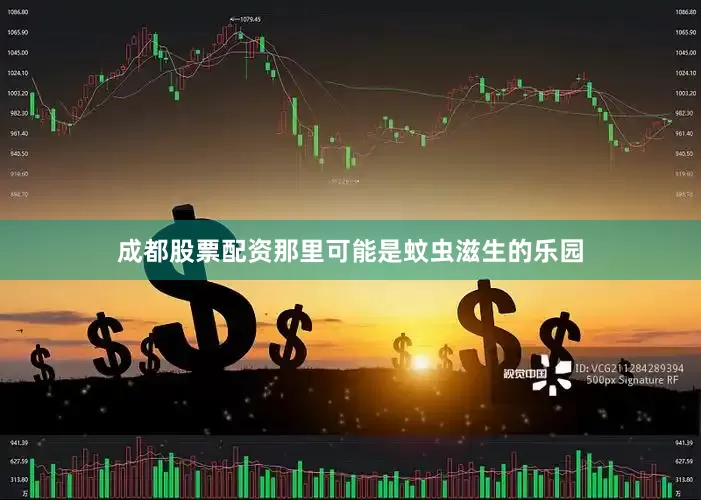成都股票配资那里可能是蚊虫滋生的乐园