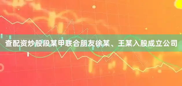 查配资炒股段某甲联合朋友徐某、王某入股成立公司