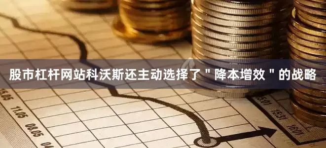股市杠杆网站科沃斯还主动选择了＂降本增效＂的战略